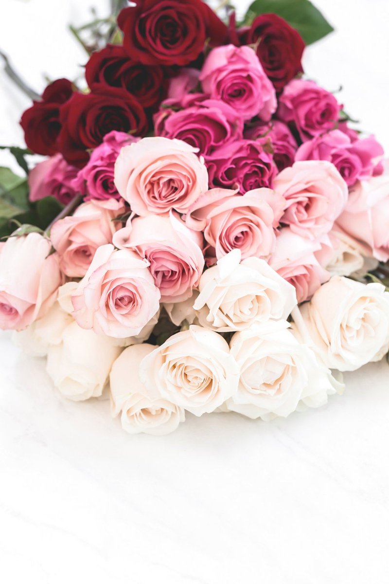 Valentine's Day Special ~  2 Dozen Farm Fresh Rose...