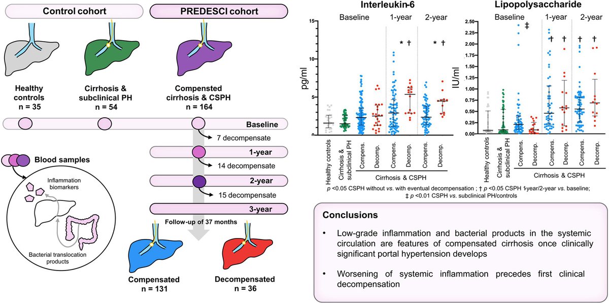 JHEP Reports (@jhep_reports) on Twitter photo ❗️Progressive systemic inflammation precedes decompensation in compensated cirrhosis
🔓#OpenAccess at👉jhep-reports.eu/article/S2589-…
#LiverTwitter
#cirrhosis
🙏<a href="/DrAAlbillos/">Agustín Albillos</a> et al. ❗️Progressive systemic inflammation precedes decompensation in compensated cirrhosis
🔓#OpenAccess at👉jhep-reports.eu/article/S2589-…
#LiverTwitter
#cirrhosis
🙏<a href="/DrAAlbillos/">Agustín Albillos</a> et al.