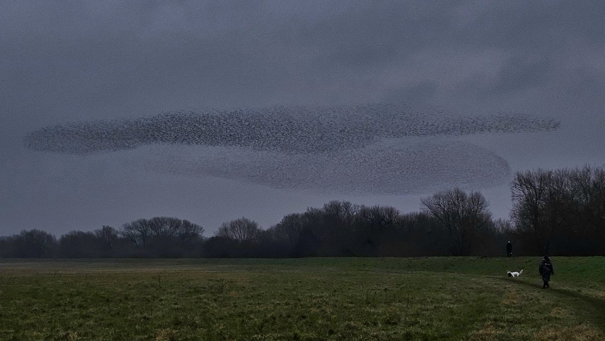 Dean Brookes tweet media