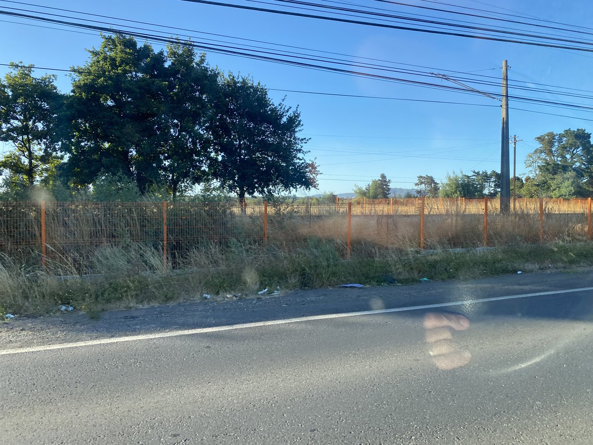 Merkader91's tweet photo. @EFE_Araucania cuando van a cortar el pasto en el sector de vega temuco (entre santa carolina y vista el volcan) el pasto tiene sobre 1 metro #temuco #rt https://t.co/c96owwvAm8