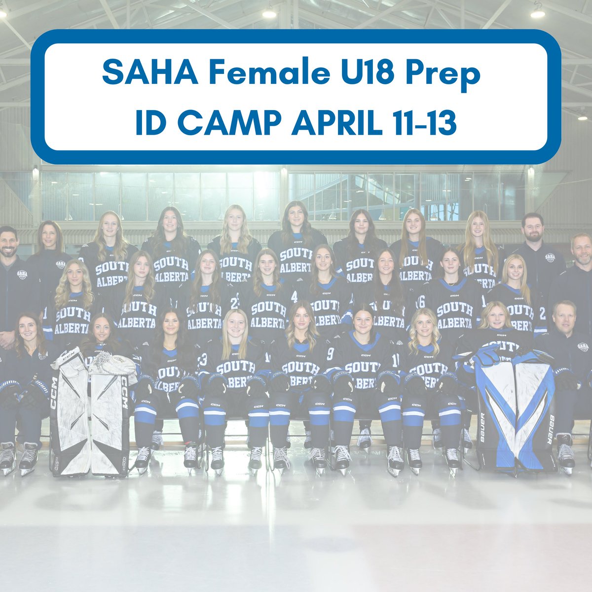 South Alberta Hockey Academy tweet media