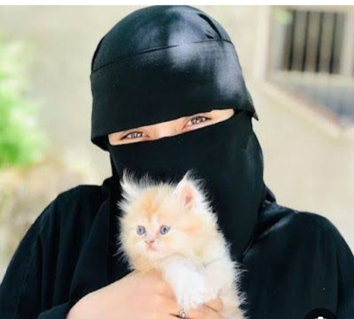 مريم tweet media