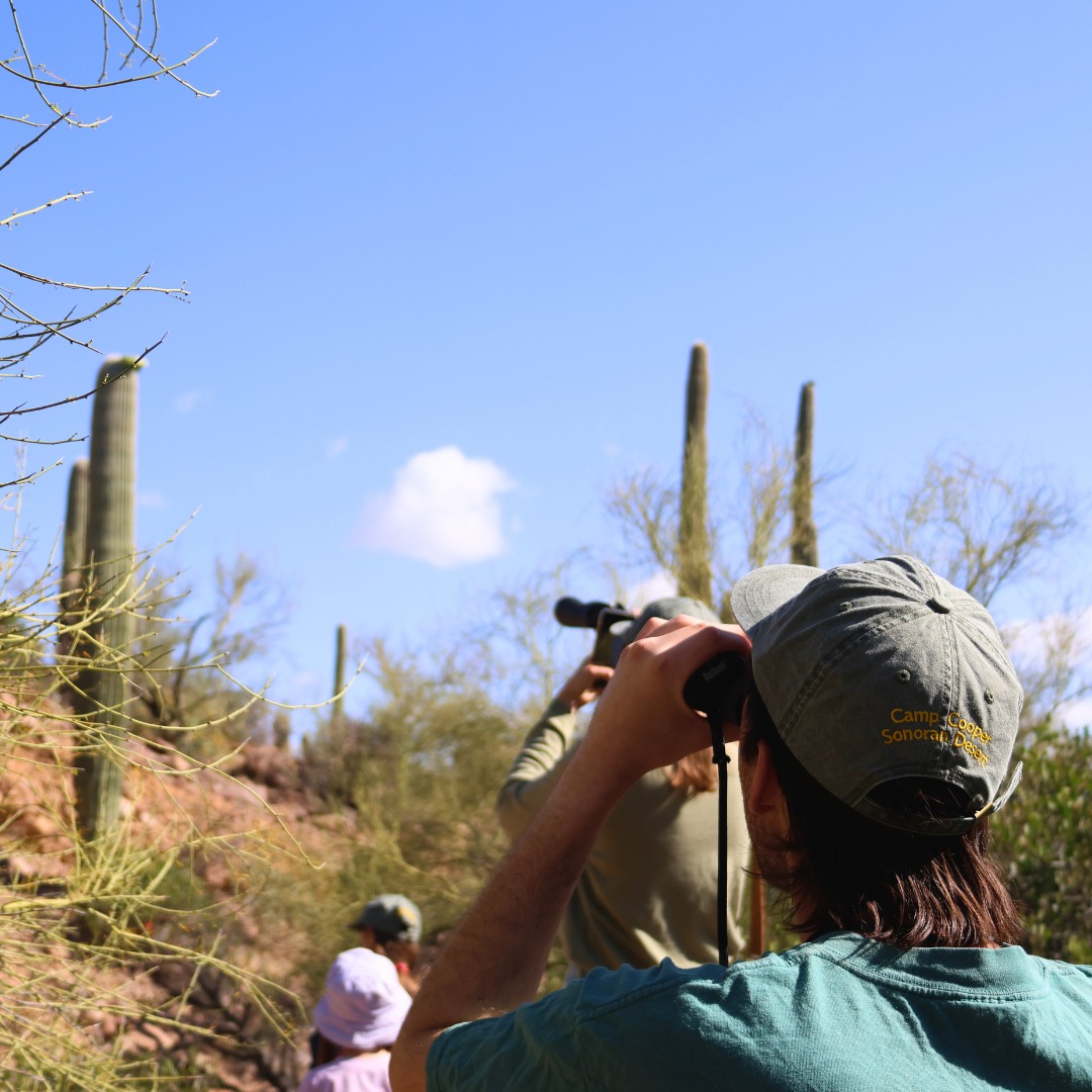 The U of A is helping shape national sustainability standards in higher ed! 🎓♻️ We're one of 21 institutions in the Carnegie Foundation’s pilot program, working to embed sustainability into campuses across the country. 🌍💚 <a href="/CampCooperAZ/">Cooper Center</a> 

Read more: news.arizona.edu/news/u-help-de…