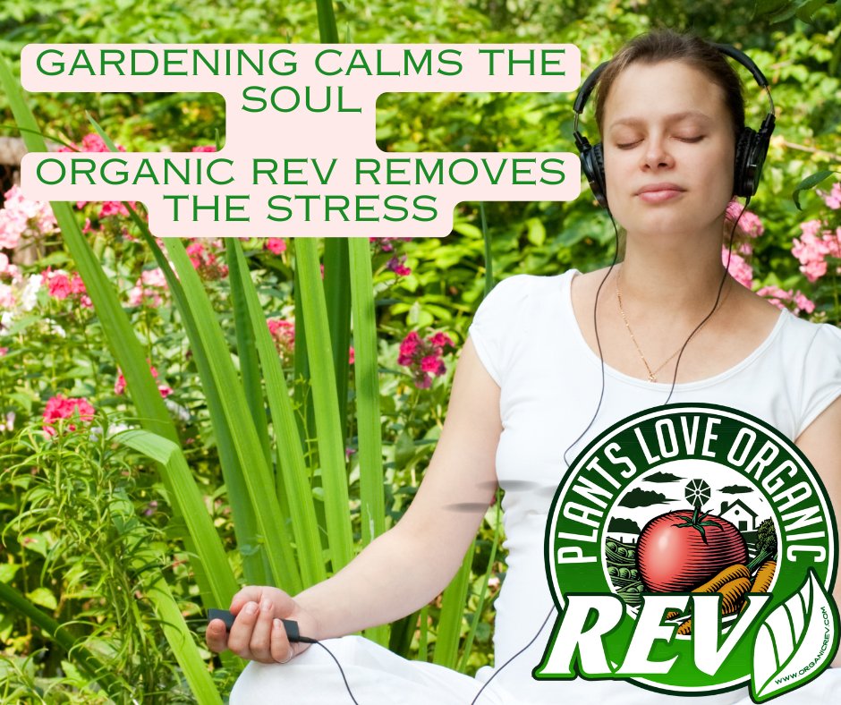 Garden Therapy: Grow Plants, Grow Calm
Feeling stressed? Studies show that getting your hands in the dirt can lower cortisol (the stress hormone) and boost your mood. It’s like a mini-spa day—right in your backyard!
Here’s how to maximize your “soil therapy” sessions:
• Choose