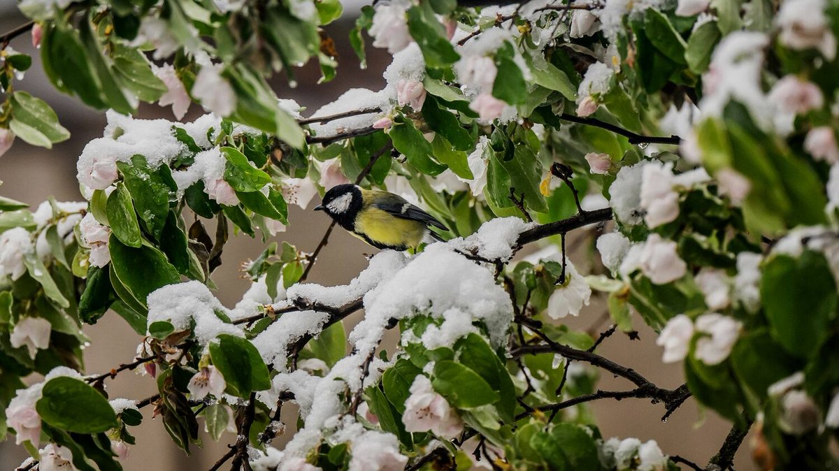 franceinfo tweet media