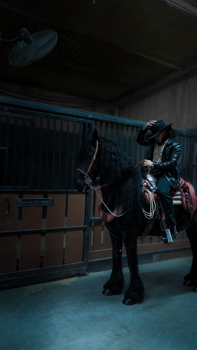 Shadeward3's tweet photo. Save the horse https://t.co/WeneXEw38M