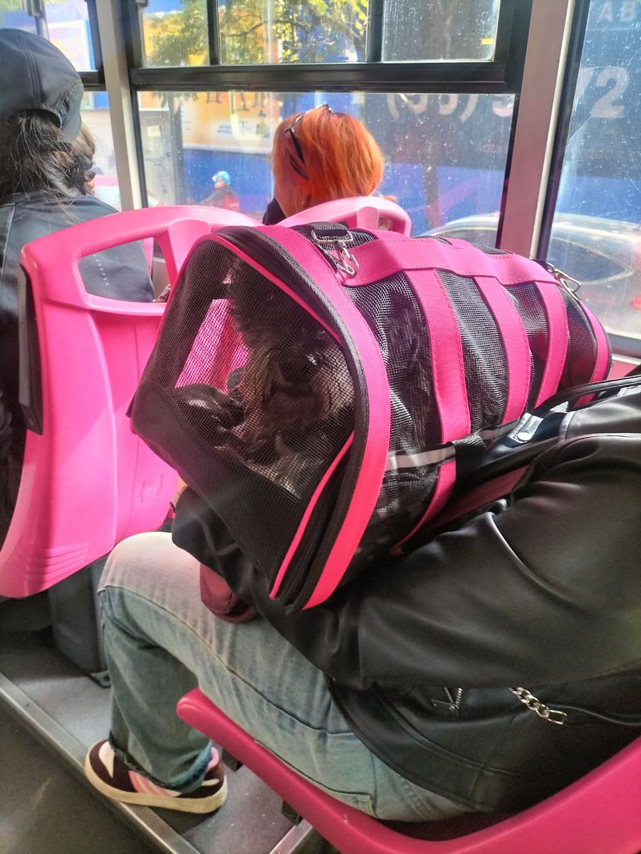 MetrobusCDMX tweet picture