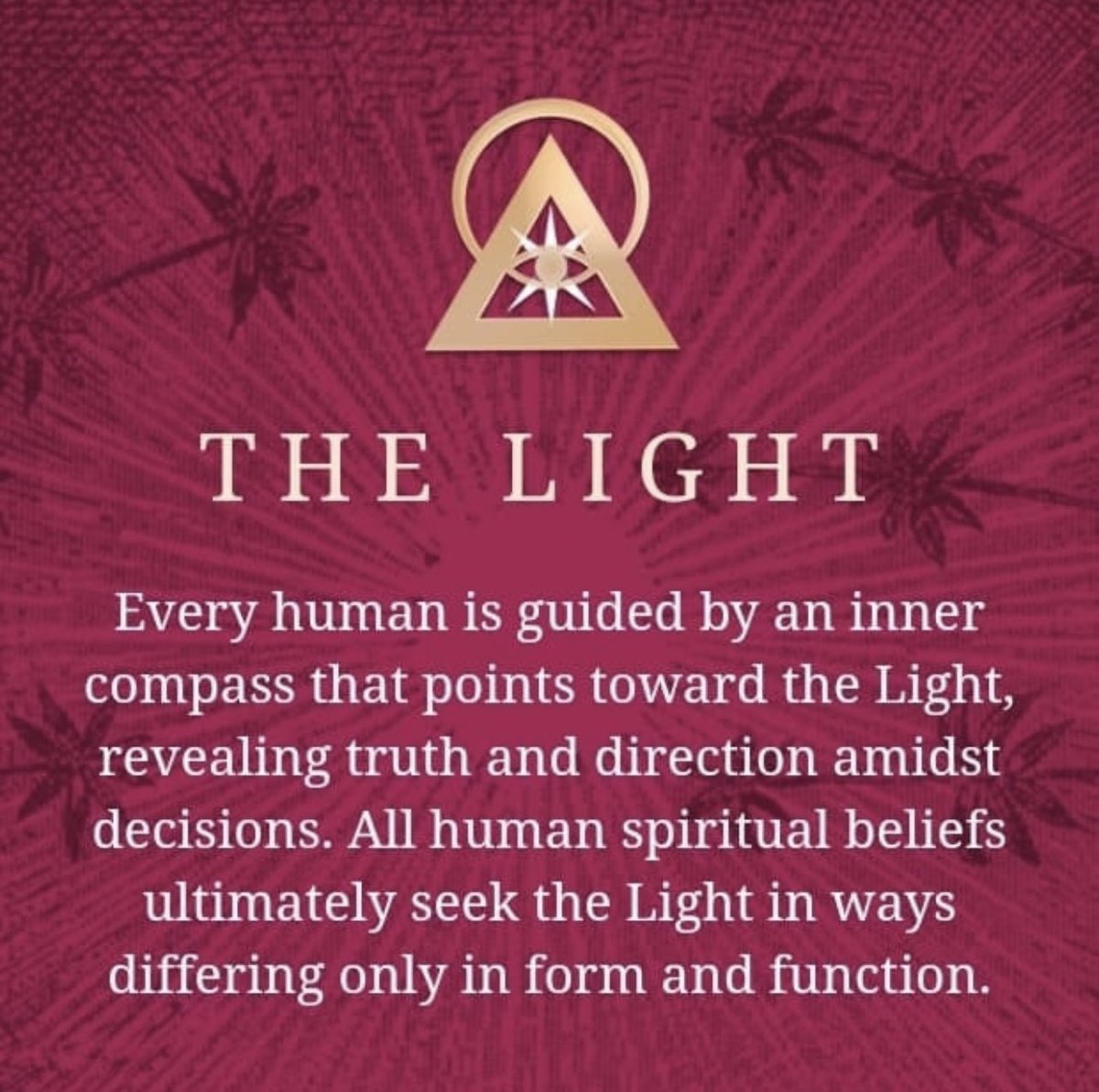 Devonte_aoc43's tweet image. 