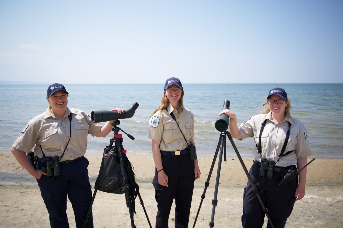 OntarioParks's tweet photo. 🌲 Applications for our 2025 summer student positions are open! 🌲

Apply here: https://t.co/pO75acSD31 https://t.co/zhZdtGbUDR