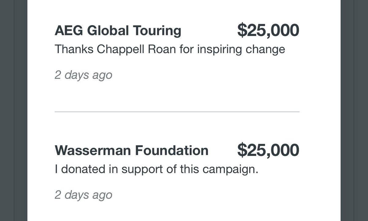 all these artists and organizations matching chappell roan’s donation and not a dime from that fartass journalist