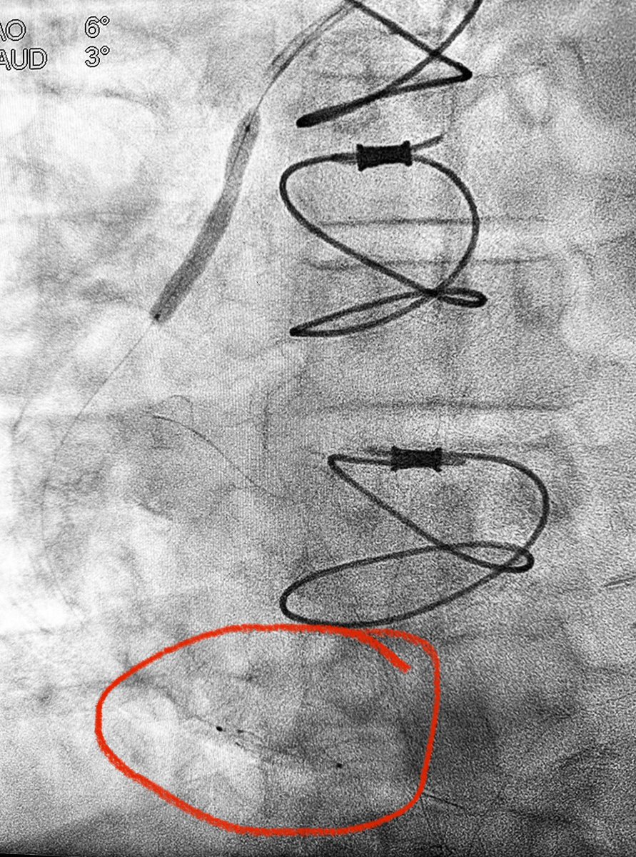 Alex Truesdell tweet media