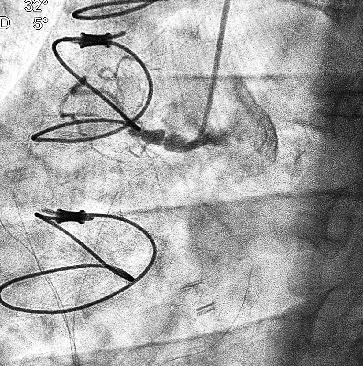 Alex Truesdell tweet media