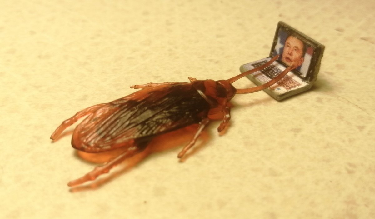 Chris Dobrowolski (@chris_dobo) on Twitter photo 