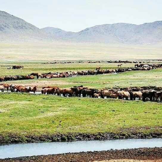 Нэгэн сайхан өдрийн мэнд ээ ☀️🤗