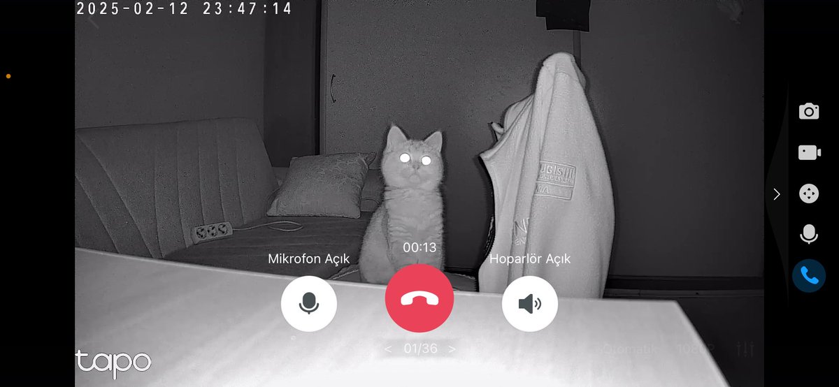 G*tle don gibi olduğumuz o kişiyle