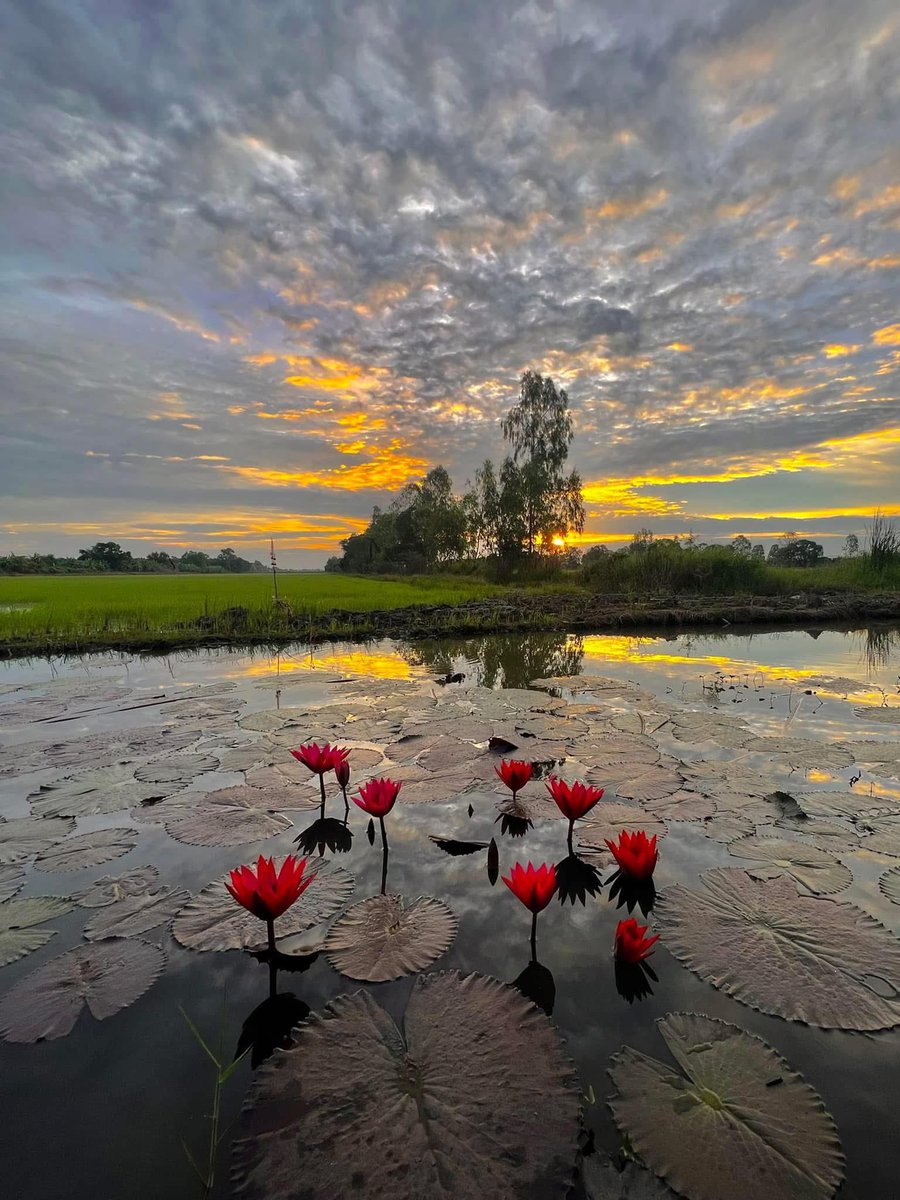 Like waves in the ocean, let go of what no longer serves you and flow with grace. 🌊💙
♥ﮩ٨ـﮩ 𝗚𝗼𝗼𝗱 𝗘𝘃𝗲𝗻𝗶𝗻𝗴 𝗙𝗿𝗶𝗲𝗻𝗱𝘀   ﮩـ٨ﮩ♥
➶➶➶ 𝗛𝗮𝗽𝗽𝘆 𝗦𝗮𝘁𝘂𝗿𝗱𝗮𝘆  ➷➷➷