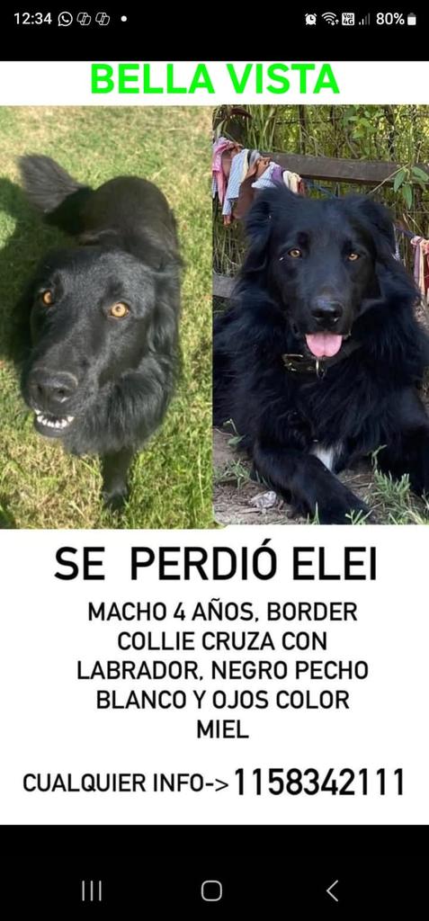 patripeyrou's tweet image. Rt
Recompensa