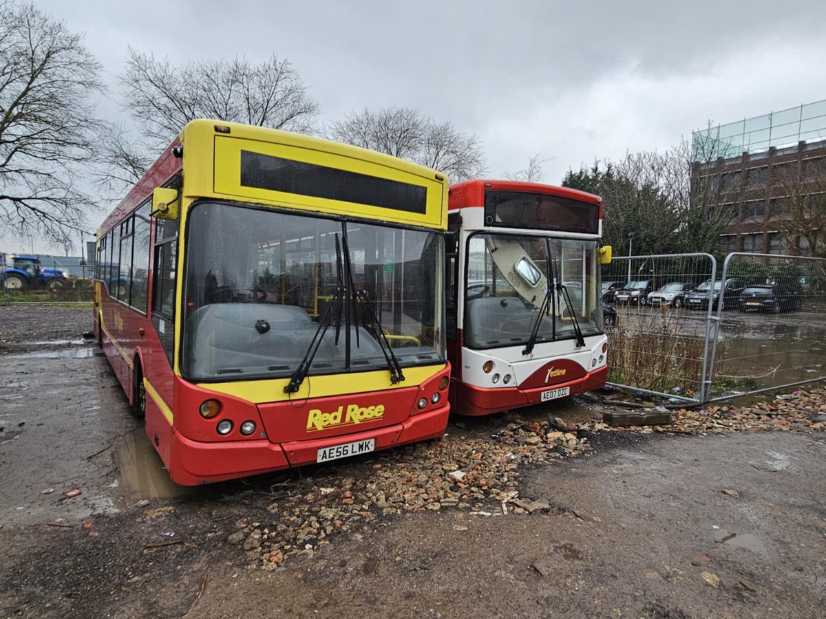 Ben Bailey #LLP🕊️ tweet media