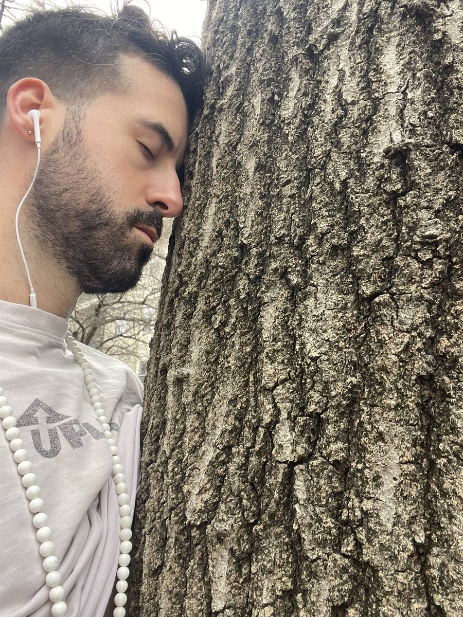 Ace 🧘🏻♂️⚡️🐉🌞🌕☯️🕉️ tweet media