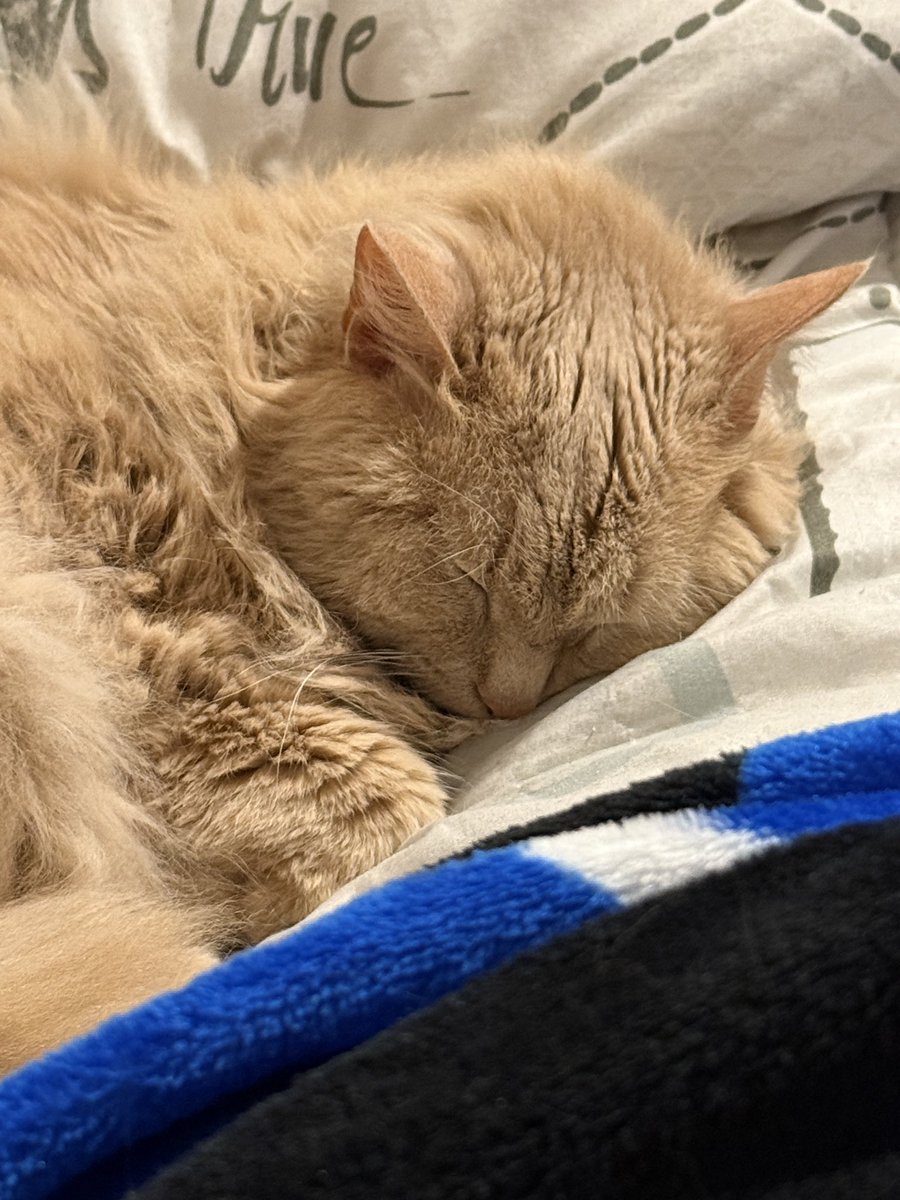 raffybi69's tweet image. A lei del festival e della
Champions non interessa nulla #pippi