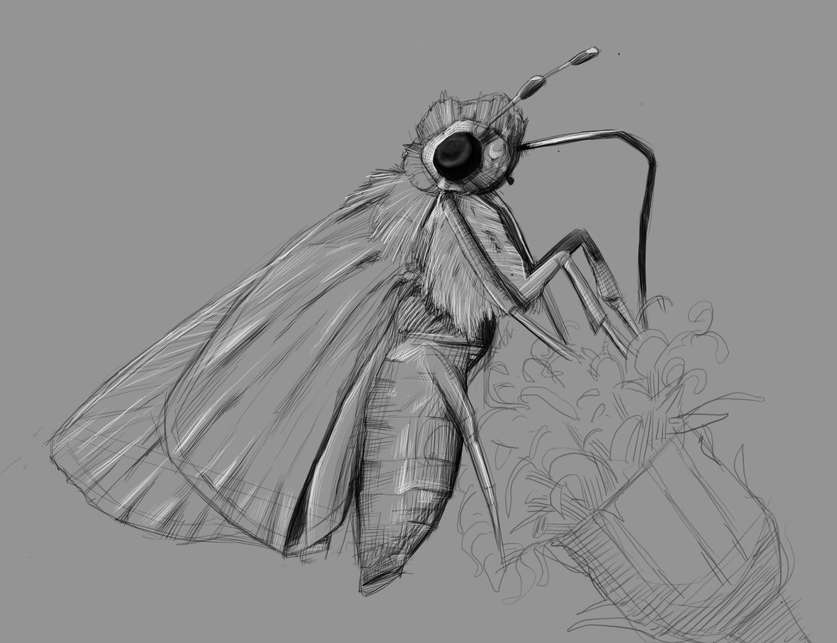 Arthur Muscles tweet media