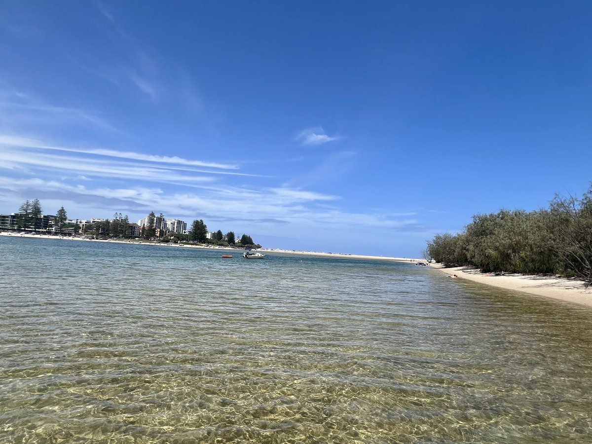 Recent day out on the northern end of Pumicestone Passage with a pontoon boat from Bill’s Boat Hire. Caloundra over your shoulder and yet a first class nature experience. #sunshinecoast #Queensland