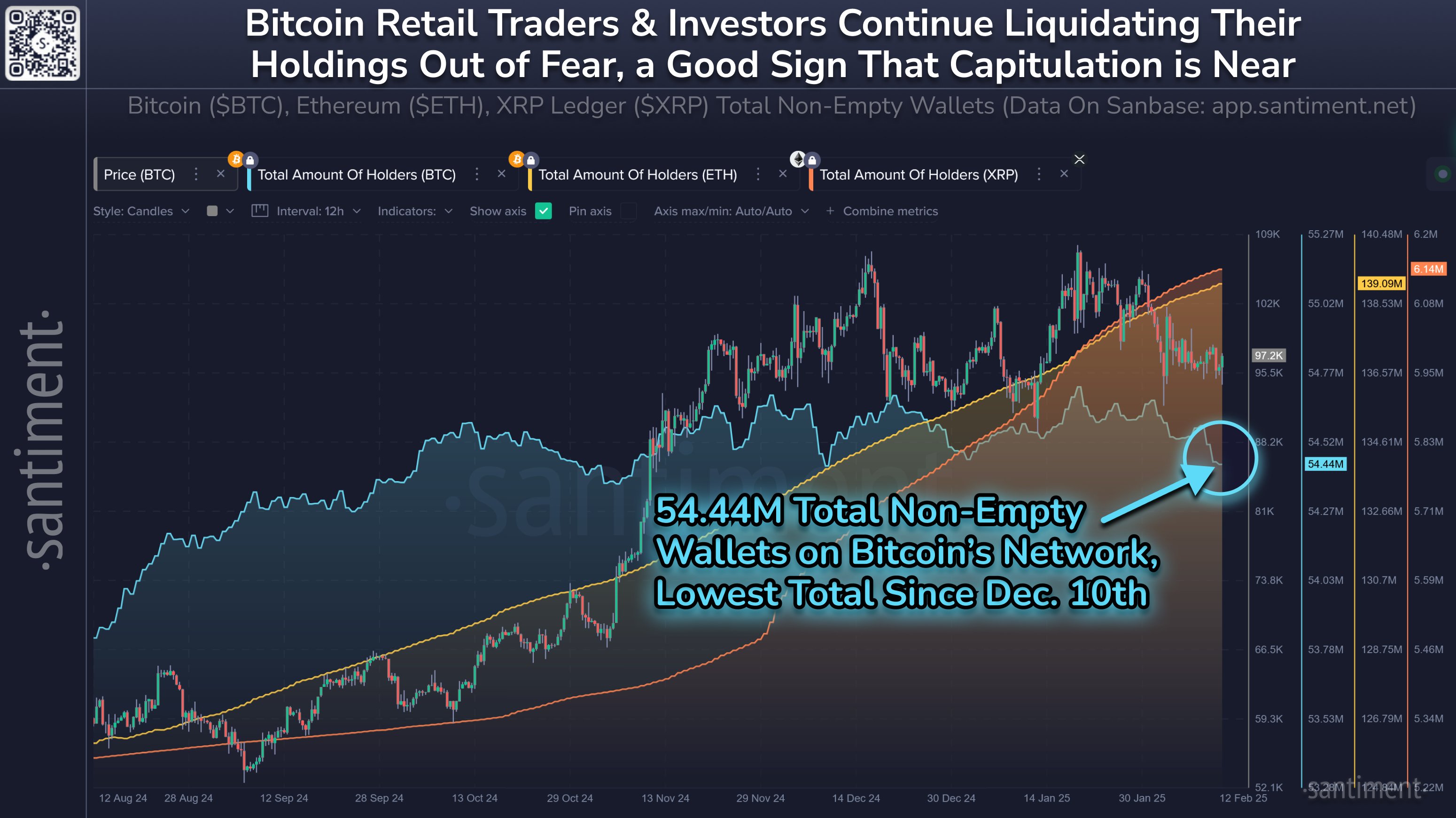 Bitcoin, XRP, Ethereum Total Amount of Holders