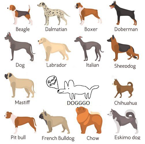 <a href="/cryptolyxe/">lyxe</a> <a href="/cz_binance/">CZ 🔶 BNB</a> Science spent centuries classifying dog breeds…
Then $DOGGGO showed up and rewrote the rules. 🐶🔥

More than a meme, more than a dog – it’s DOGGGO.

Contract: 0xA1AbECc1B3958da78259FA2793653FC48E976420