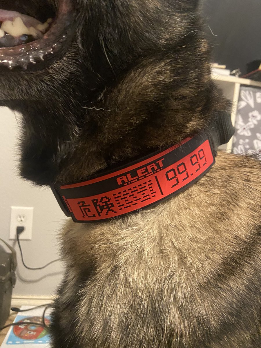 metal gear dawg