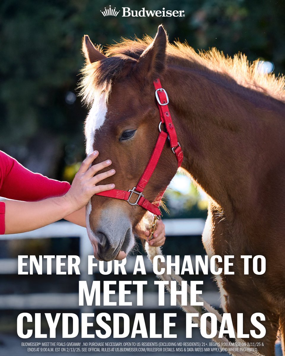 Your chance to see the Clydesdale foals in real life is here. 

Comment with #ThisBudsForYou #Sweepstakes and you could win a trip to <a href="/WarmSpringRanch/">Warm Springs Ranch</a>.
