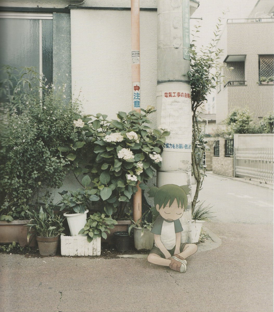 Раjке tweet media