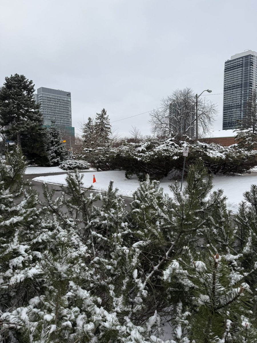 praseeda_sharma's tweet photo. Snowflakes in the air ❄️ Magic everywhere 🪄 https://t.co/GgVufFOgzj