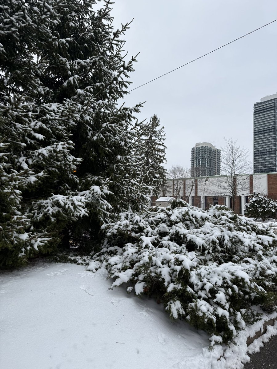 praseeda_sharma's tweet photo. Snowflakes in the air ❄️ Magic everywhere 🪄 https://t.co/GgVufFOgzj