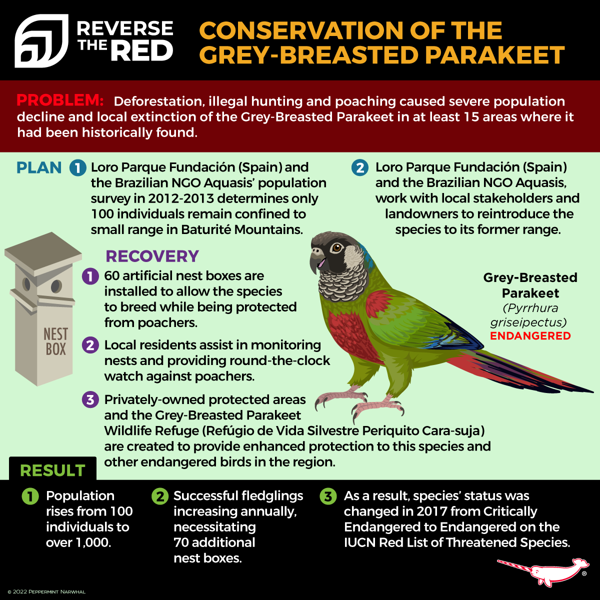UNBiodiversity's tweet image. Looking for stories about biodiversity?#ReverseTheRedDay has some optimistic ones.
@LP_fundacion helped recover Grey-breasted Parakeet, Lear&apos;s Macaw &amp;amp; Yellow-eared Parrot.

🎧in @pelecanusinc interview w Rafael Z, for podcast The Possibilists:bit.ly/3HLcUNr

via @rewild
