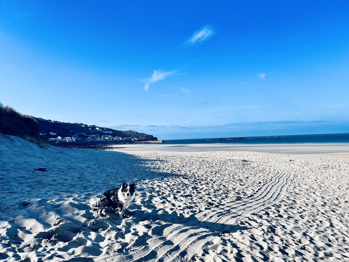 cornishbeachy's tweet photo. Cornwall in February 💙💙💙 https://t.co/U4eT0skCvk