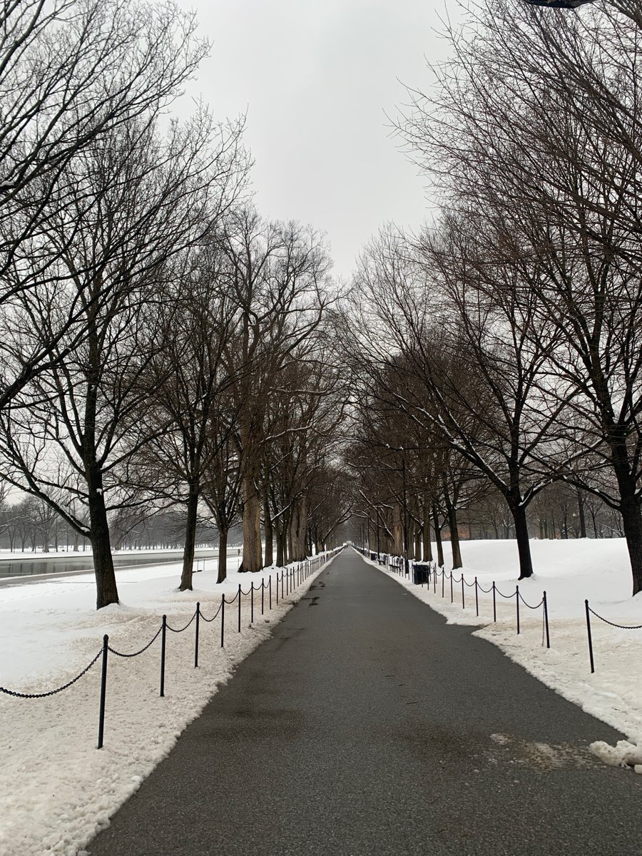 DrCathD's tweet image. It was a great honour to take part in today's seminar at the @WorldBank on our @TheLancet ECD and the next 1000 days series. The joy of connecting with colleagues in person has not got old. Plus I got to enjoy some snow!☃️☃️☃️