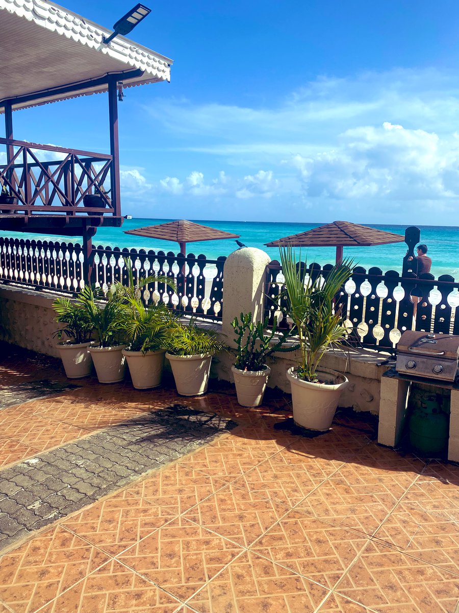 sidtaylor_26's tweet image. Arrived at r accommodation sea view bungalow on the island of Barbados breathtaking 🇧🇧 #beach #chilled#swim #islandlife #TaylorsTravels