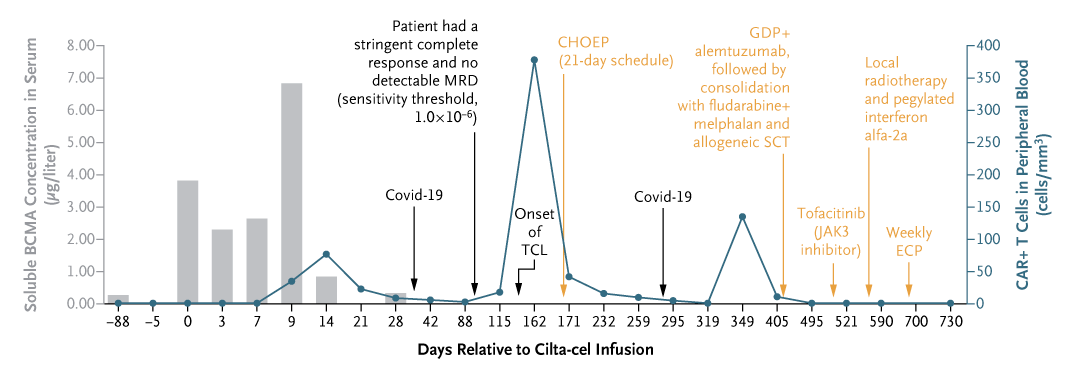 Two patients with refractory myeloma who had excellent antitumor responses to cilta-cel CAR T-cell therapy later had T-cell lymphomas that contained the lentivirus construct used to generate the CAR T-cell product. Brief Report on the CARTITUDE-4 trial: nej.md/4gA6G27