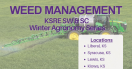 A series of weed management schools will occur in southwest and south central Kansas, check out the dates and locations in the article: bit.ly/40LRFVc
