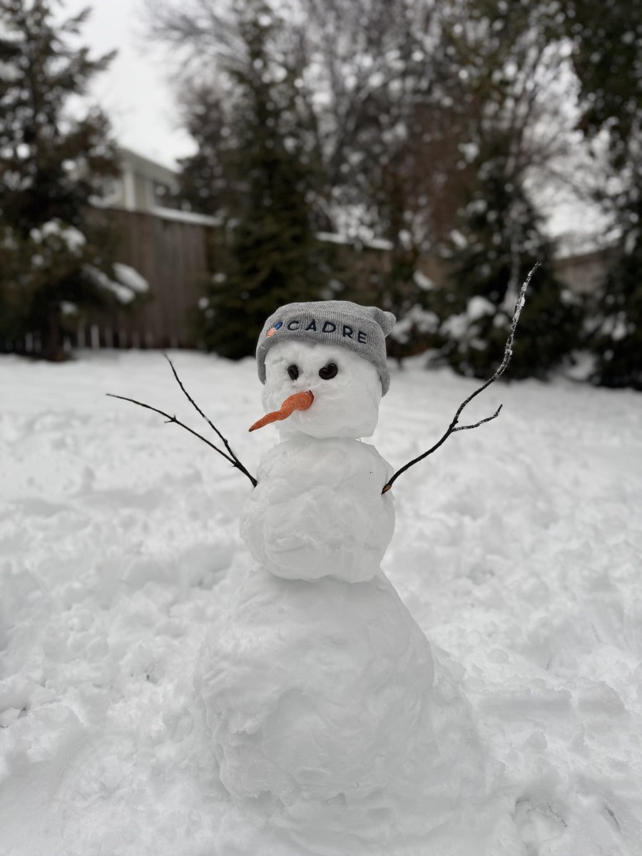 melanietc's tweet image. Rocked our old school @cadredc #UnNetworking Roundtable online today! The snow couldn’t stop us from connecting! ❄️