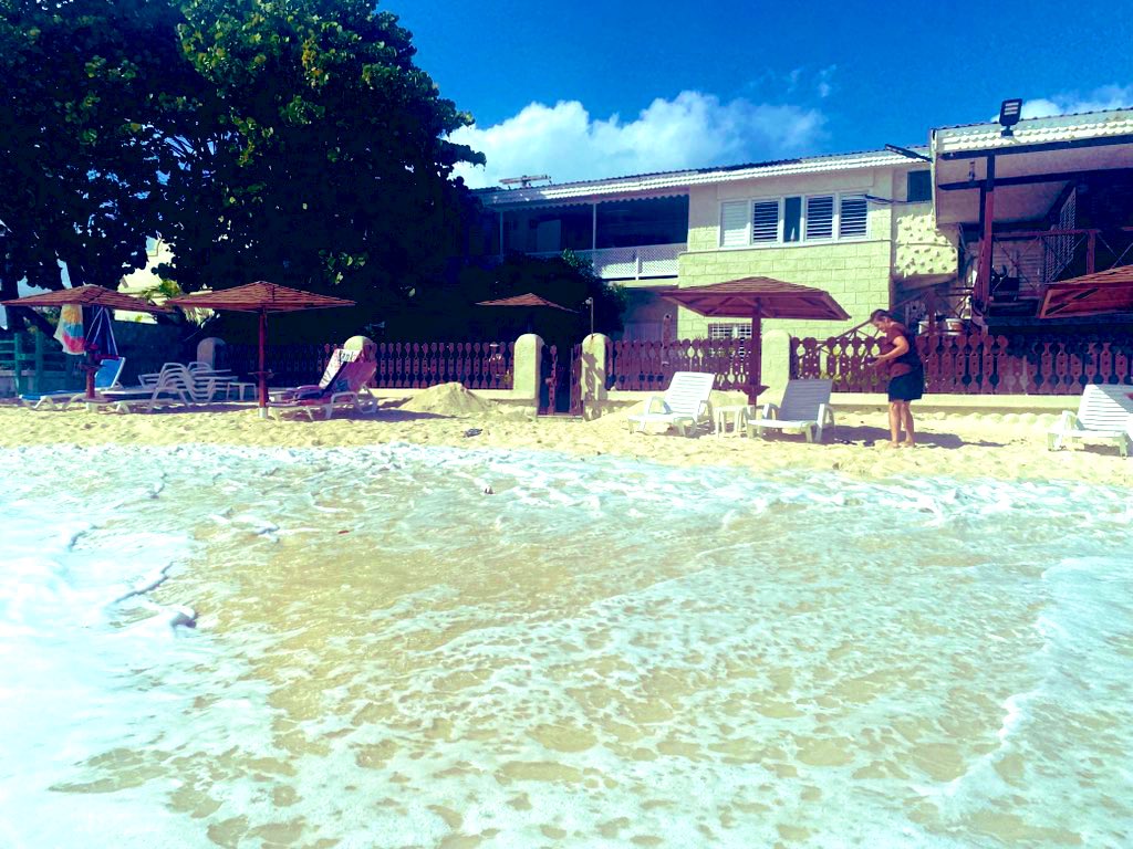 sidtaylor_26's tweet image. Arrived at r accommodation sea view bungalow on the island of Barbados breathtaking 🇧🇧 #beach #chilled#swim #islandlife #TaylorsTravels