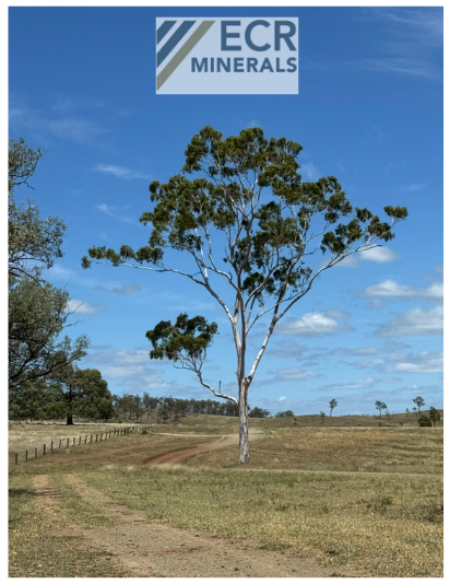 ecrminerals tweet media