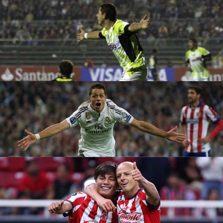 edwin_sc7's tweet image. Quizá sea el único jugador del planeta que a metido gol en libertadores, en champions, y concachampions 😎 leyenda