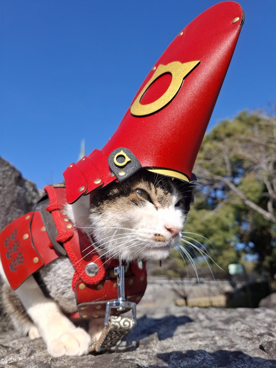 在庫処分 半額 熊本猫  X: on 小鉄 トートバッグ