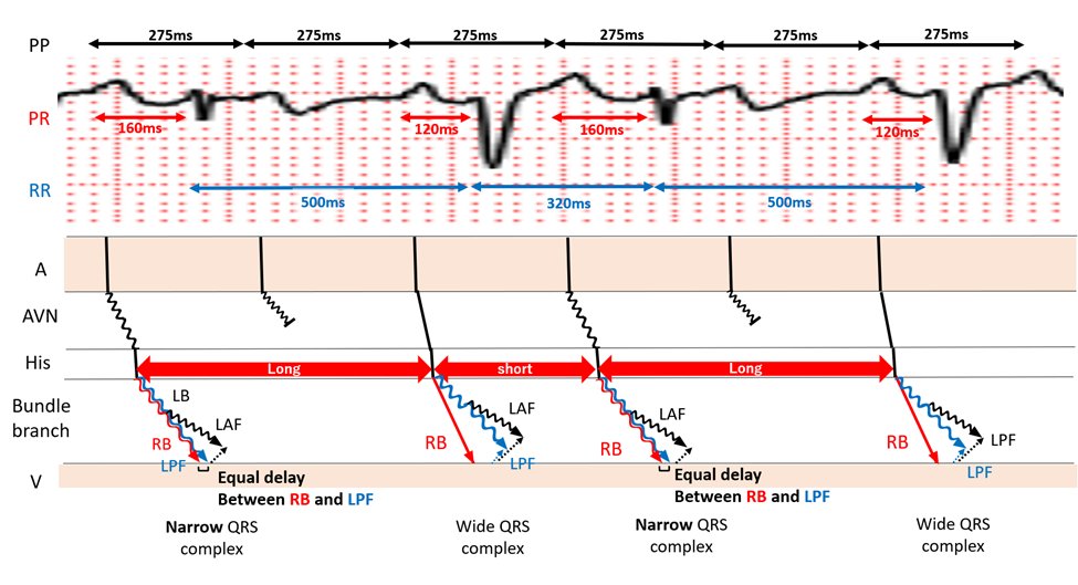まめたろう,MD, PhD🫛EP Univ. tweet media
