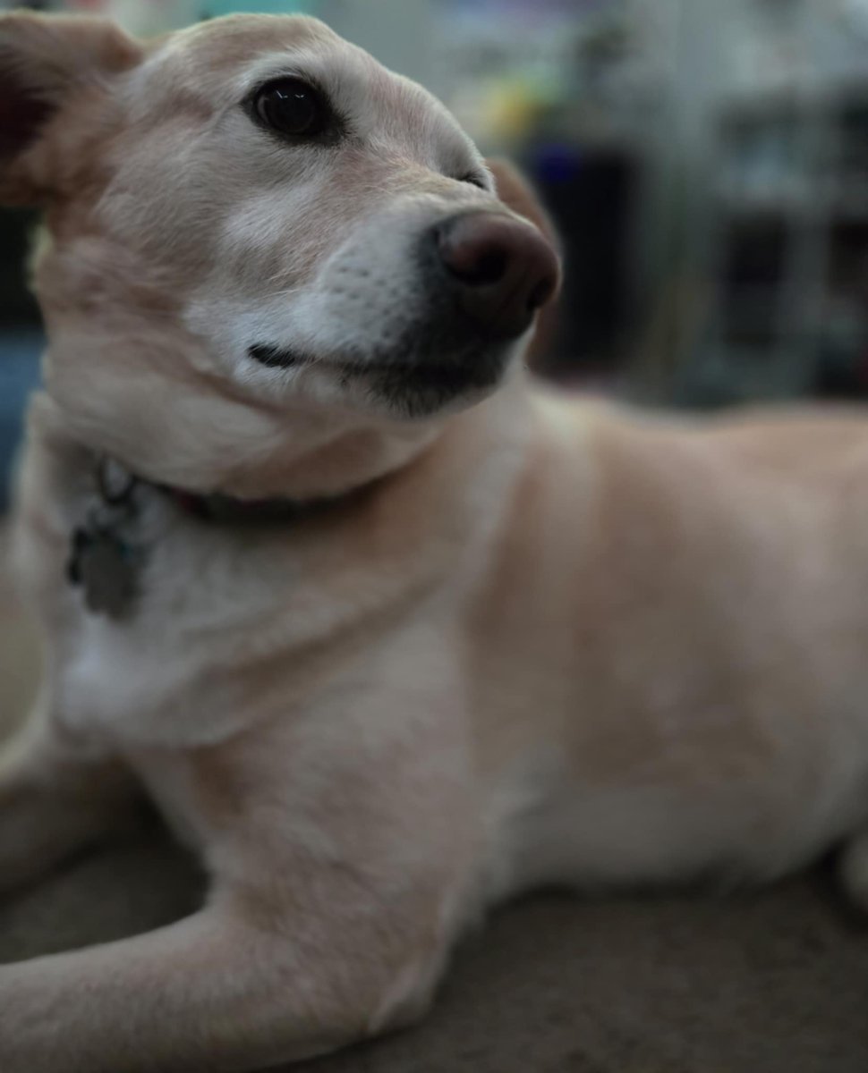 Bronx (@bronxyv) on Twitter photo 