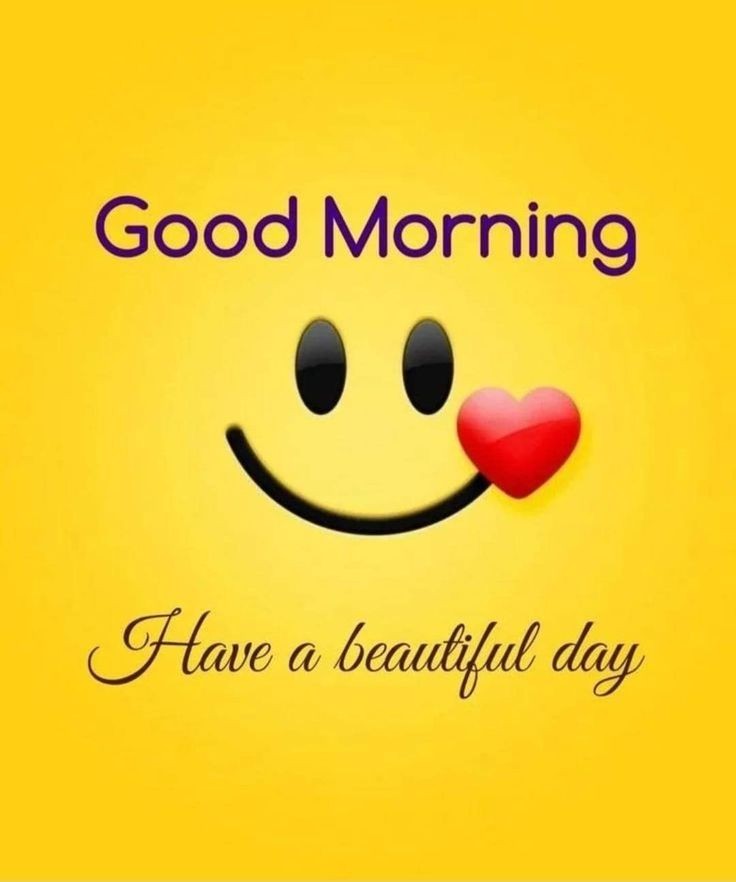 Assalamo allaikum 
               Have a beautiful sunshine 🌞 
         Stay positive Keep smiling 
            GOOD MORNING
#GoodMorning