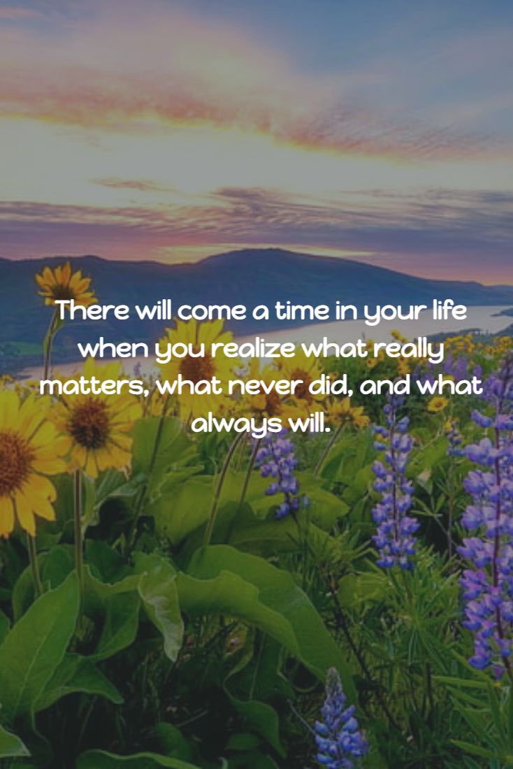 Shadia 🌸 (@shadiasargi) on Twitter photo 