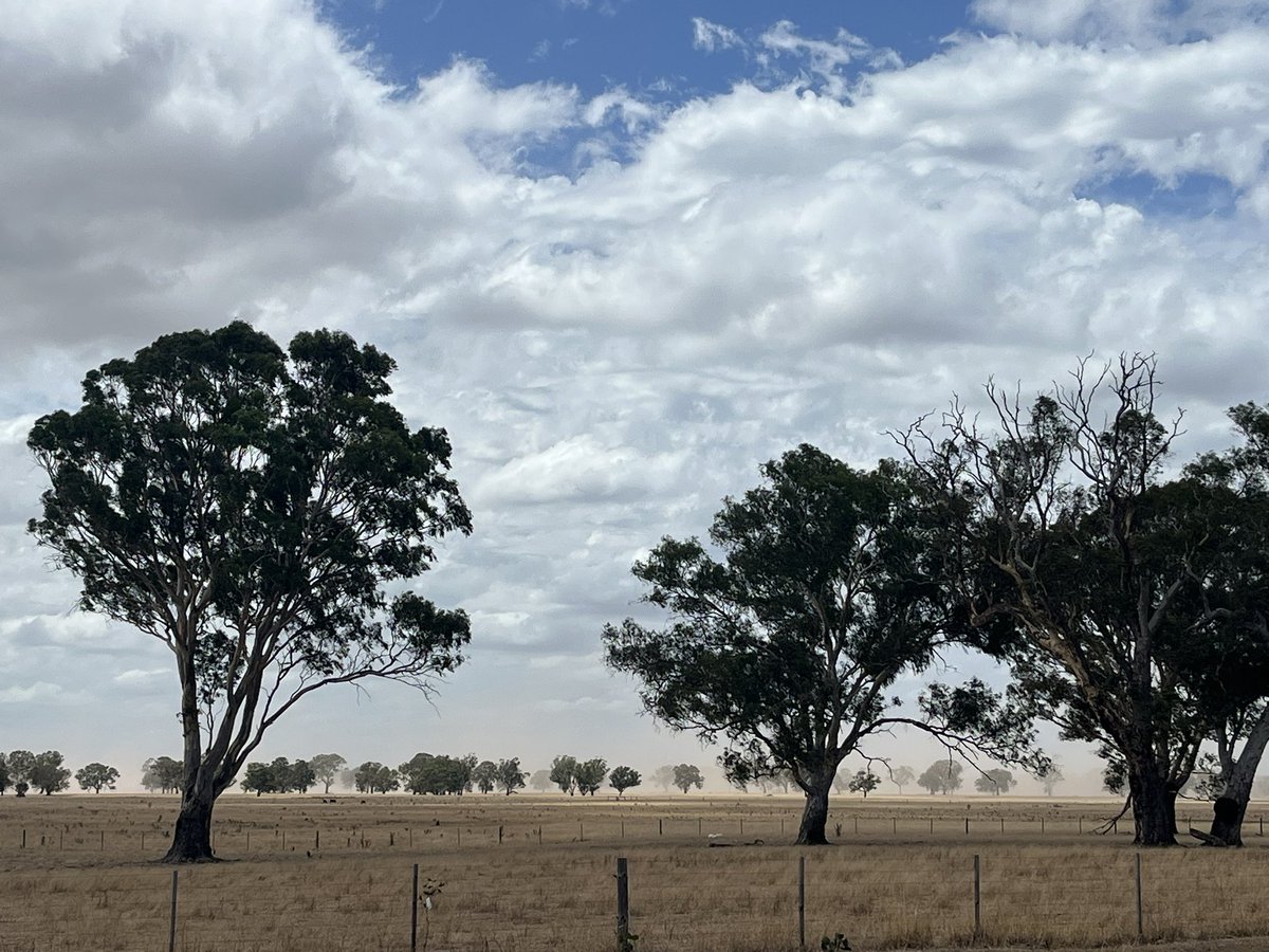 Tom Rymill tweet media