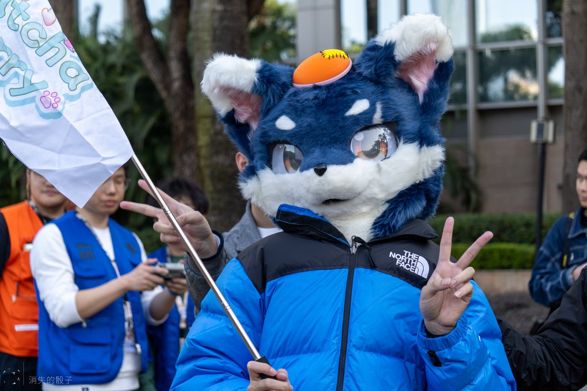 我小时候特别羡慕吉吉，自己发疯装百兽之王，还有一个朋友陪着你疯，真的很感人啊😭😭😭
话说，你们的吉吉有没有毛毛啊